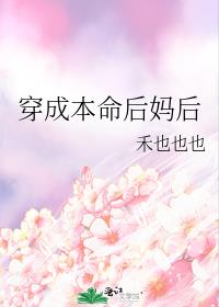 ������۴�����������