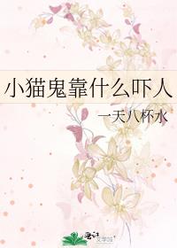 Сè����ʲô����