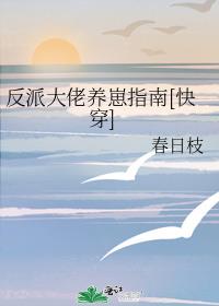 ���ɴ�������ָ��[�촩]