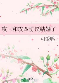 �����͹���Э������