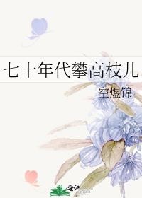 ��ʮ����ʸ�֦��