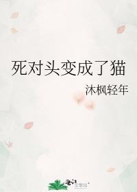 ����ͷ�����è