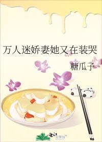 �����Խ���������װ��