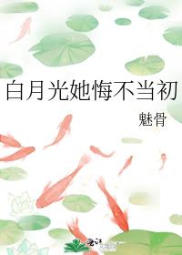 ���¹����ڲ�����