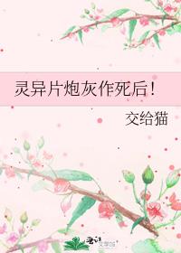 ����Ƭ�ڻ�������